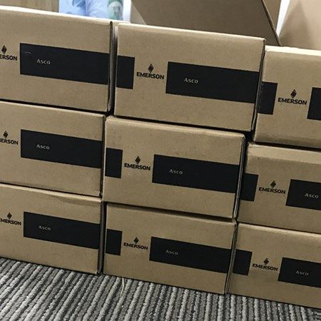 ASCO EF8320G178 EF8321G001 EF8320G202 Solenoid Valves Arrived(1)