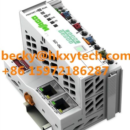 Wago 750-461 753-461 2-Channel Analog Input Modules for RTDs 750-461 753-461 IO Systems Modules In Stock